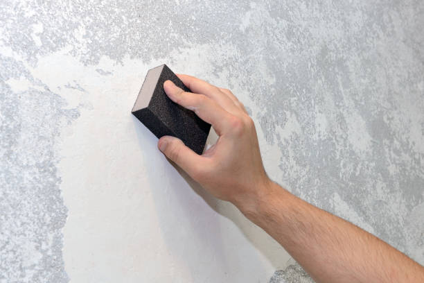 Best Biohazard Mold Removal  in Woodland Beach, MI
