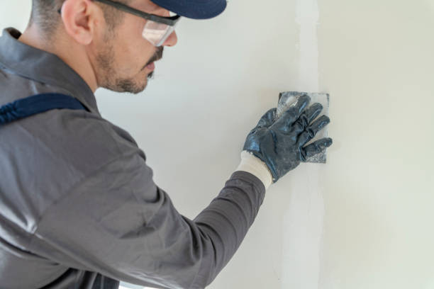 Best Black Mold Removal  in Woodland Beach, MI