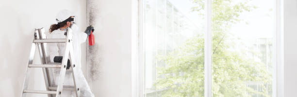 Best Dehumidification Services  in Woodland Beach, MI