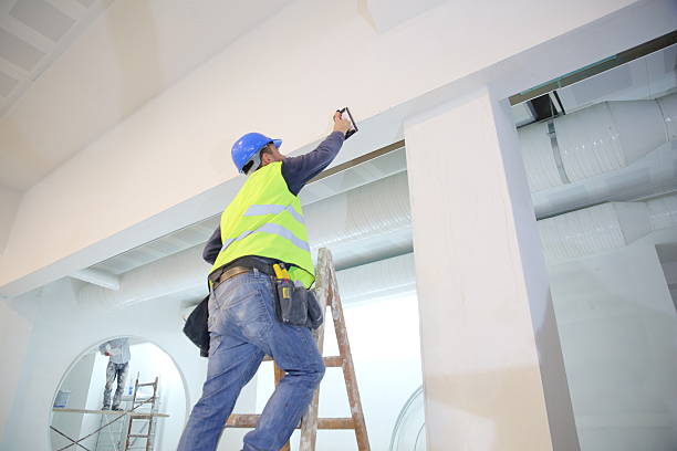 Trusted Woodland Beach, MI Mold Removal Experts